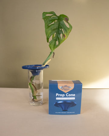 Propagation Cones - 3 pack