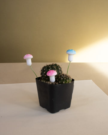 Foam Miniature Terrarium Toadstool