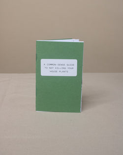 A Common-Sense Guide (zine)