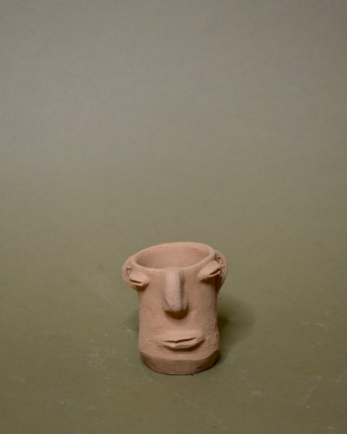 Casa Ojo Cara Pot
