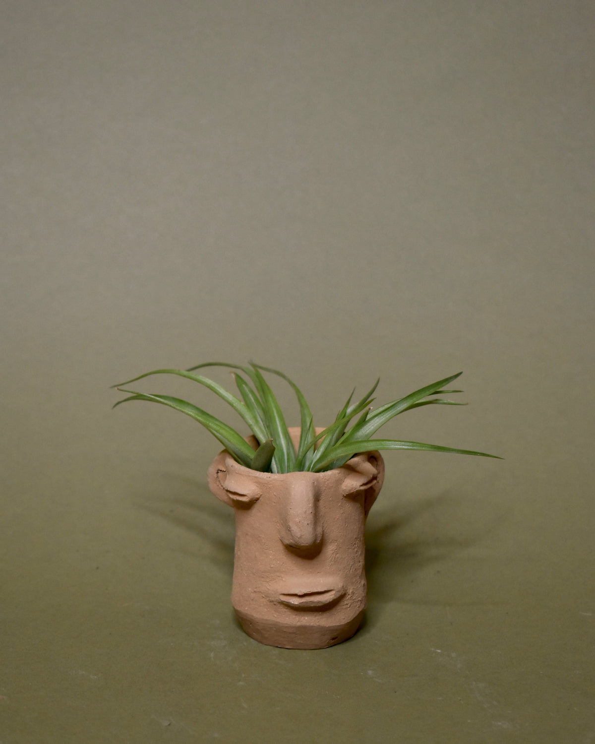 Casa Ojo Cara Pot