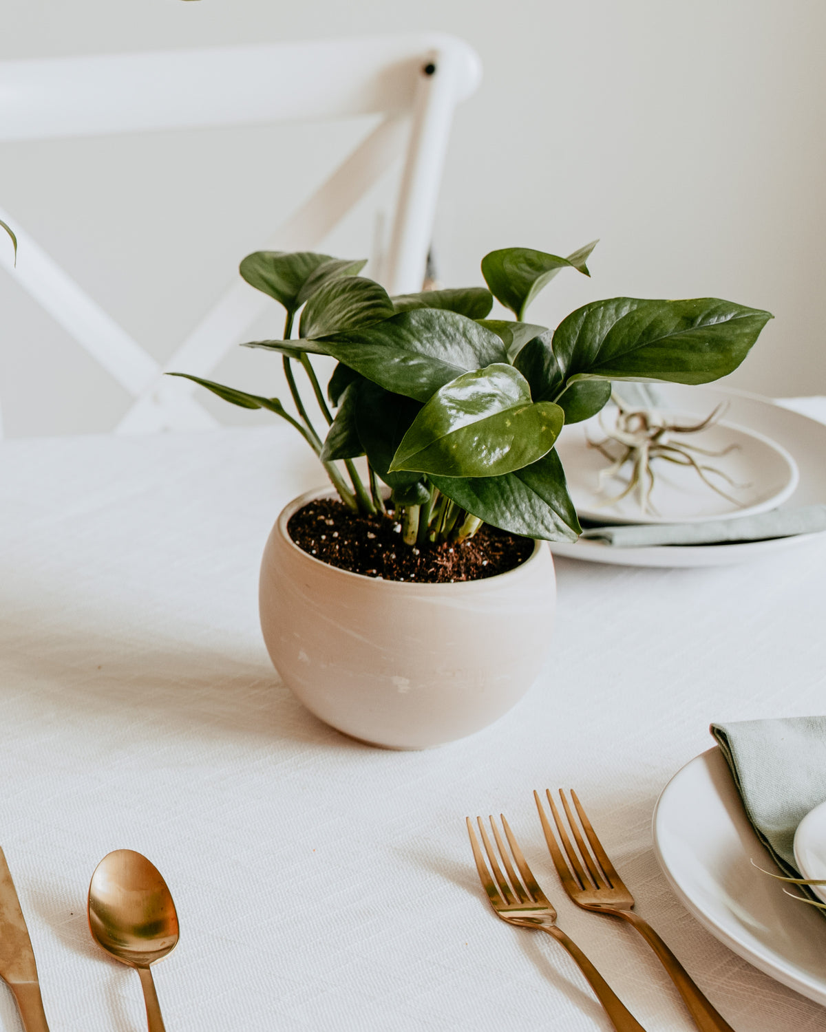 Plants as wedding centerpieces 60 photos - Astyledwedding.com