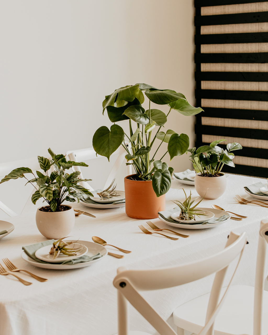 house plants as wedding centerpieces Potted Plant Centerpiece